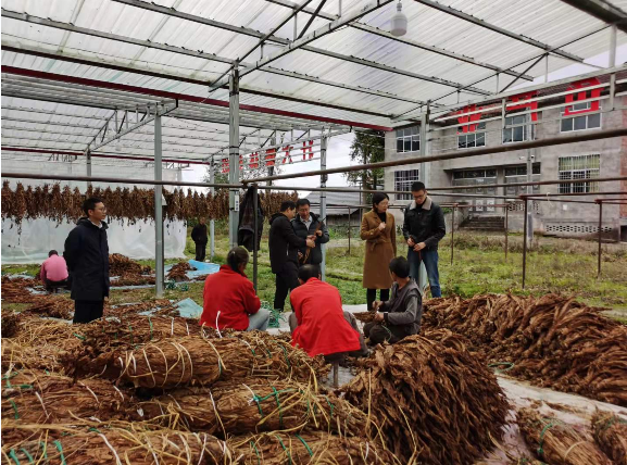 万源市副市长张虹到玉带乡宣讲达州市第五次党代会和第五届人代会精神